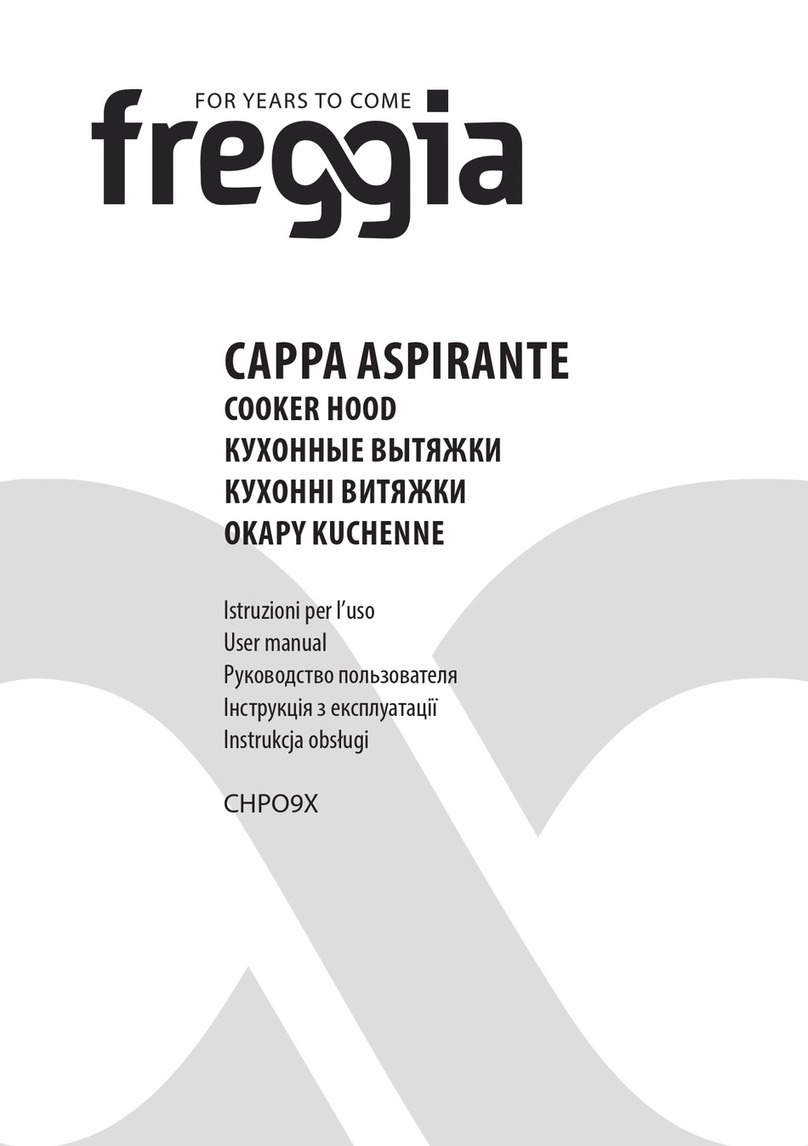 Freggia CHPO9X user manual