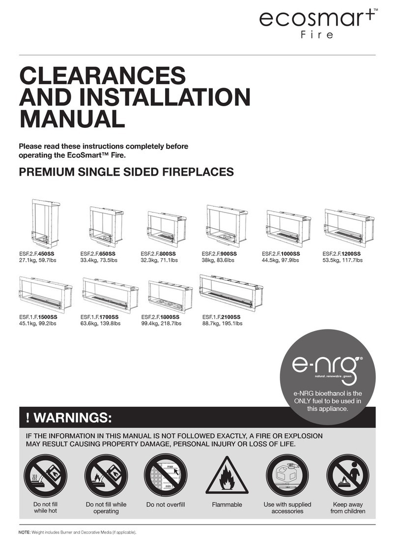 EcoSmart Fire 450S User manual