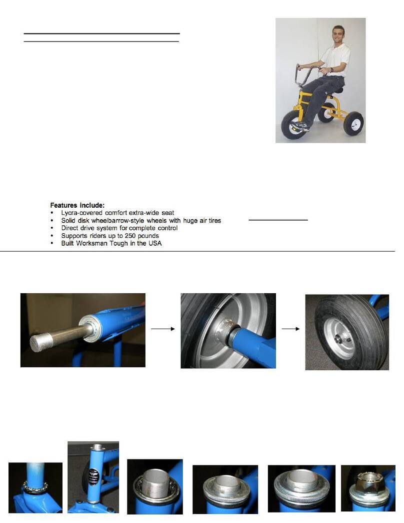 Worksman WTX Datasheet
