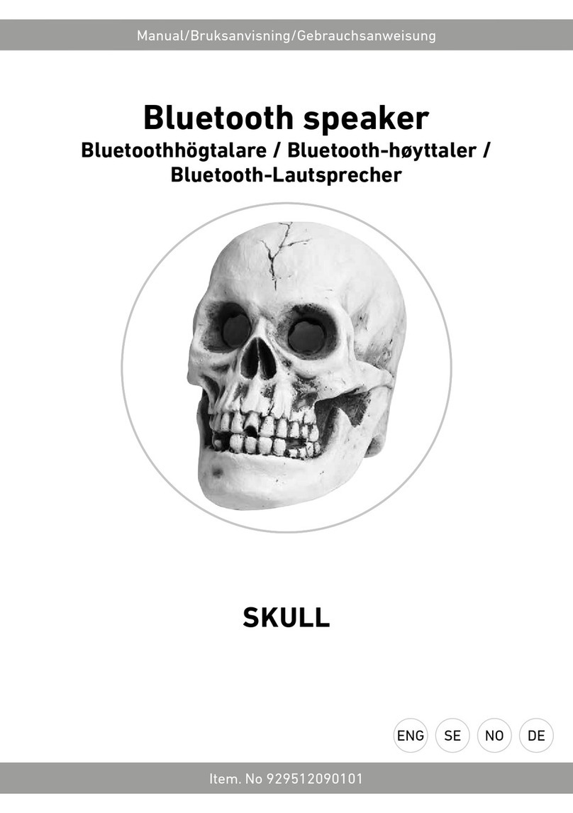 RUSTA SKULL manual
