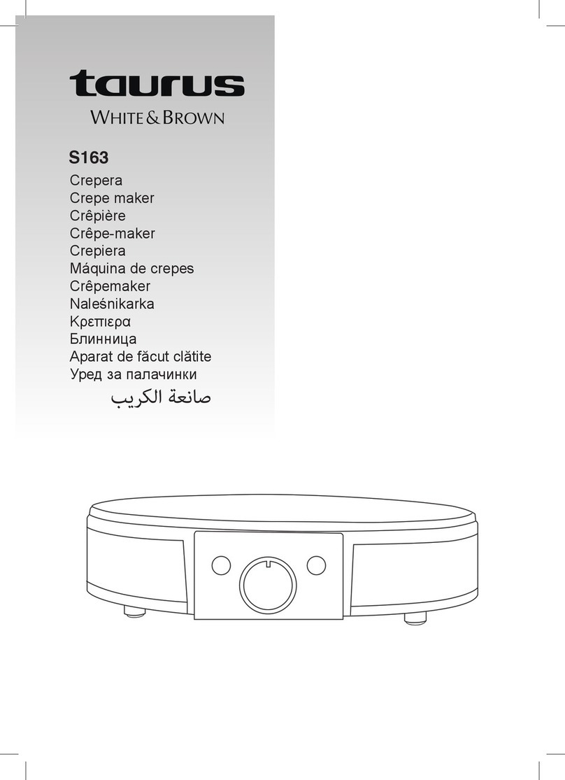 Taurus S163 manual