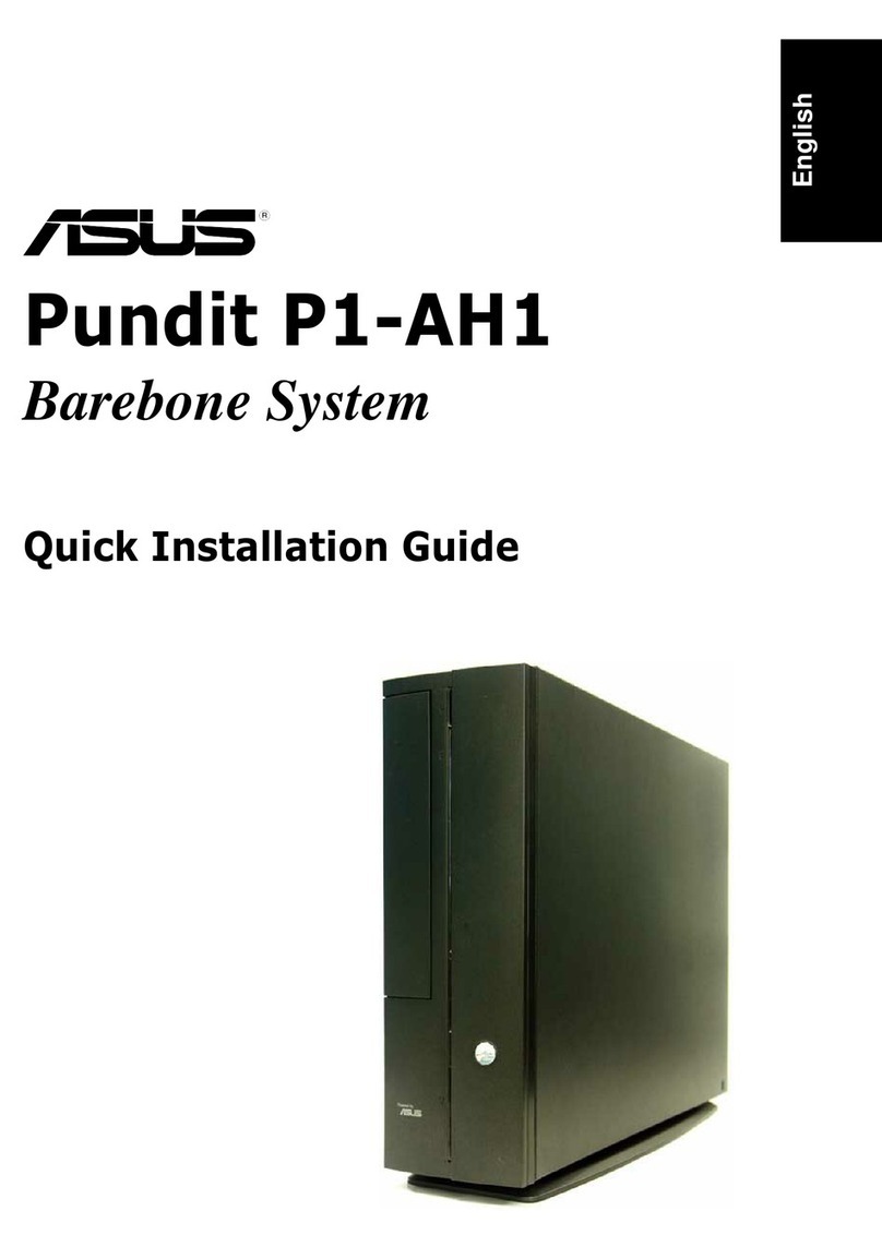 Asus Pundit P1-AH1 User manual