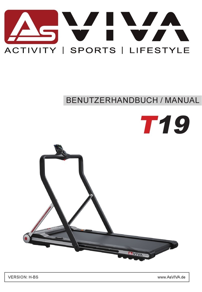AsVIVA T19 manual