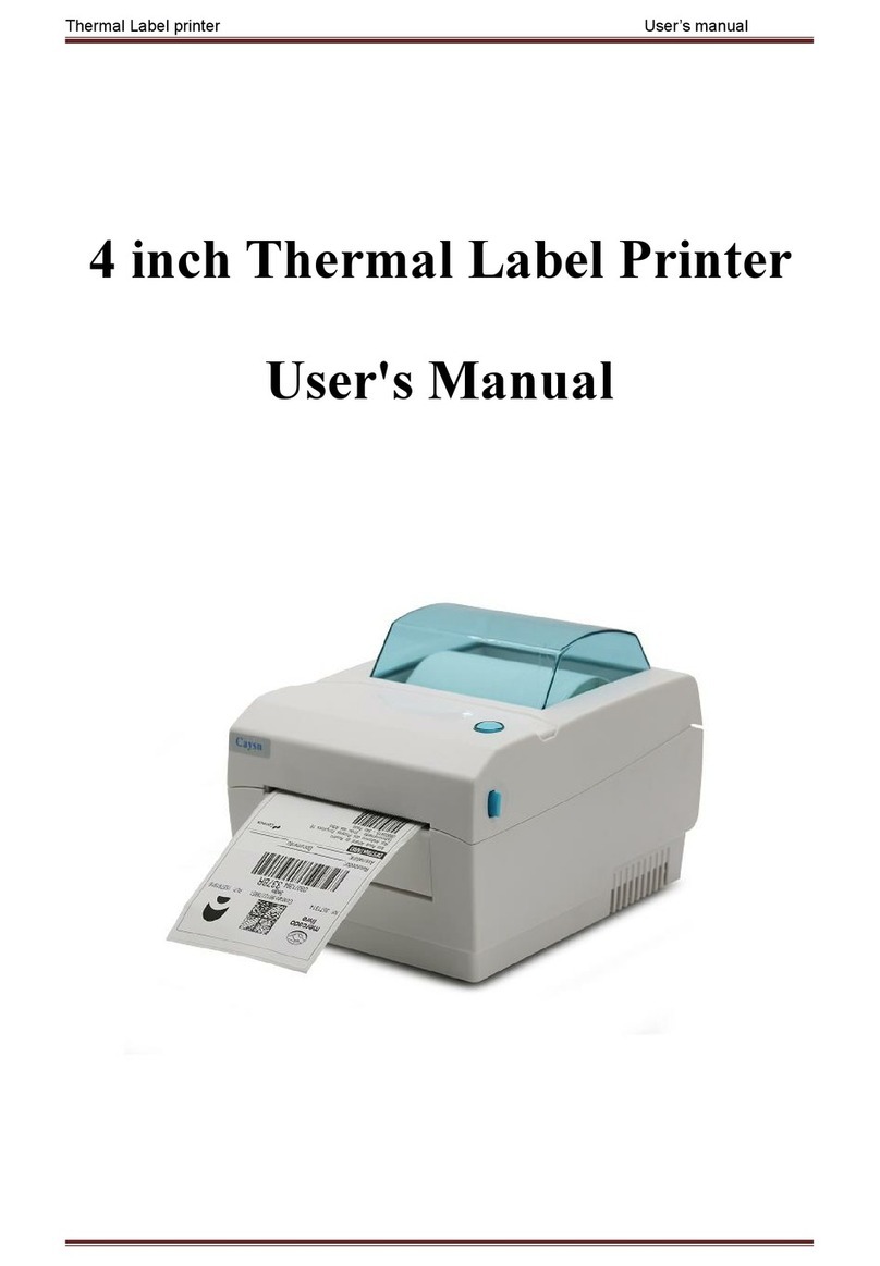Caysn KP80 User manual