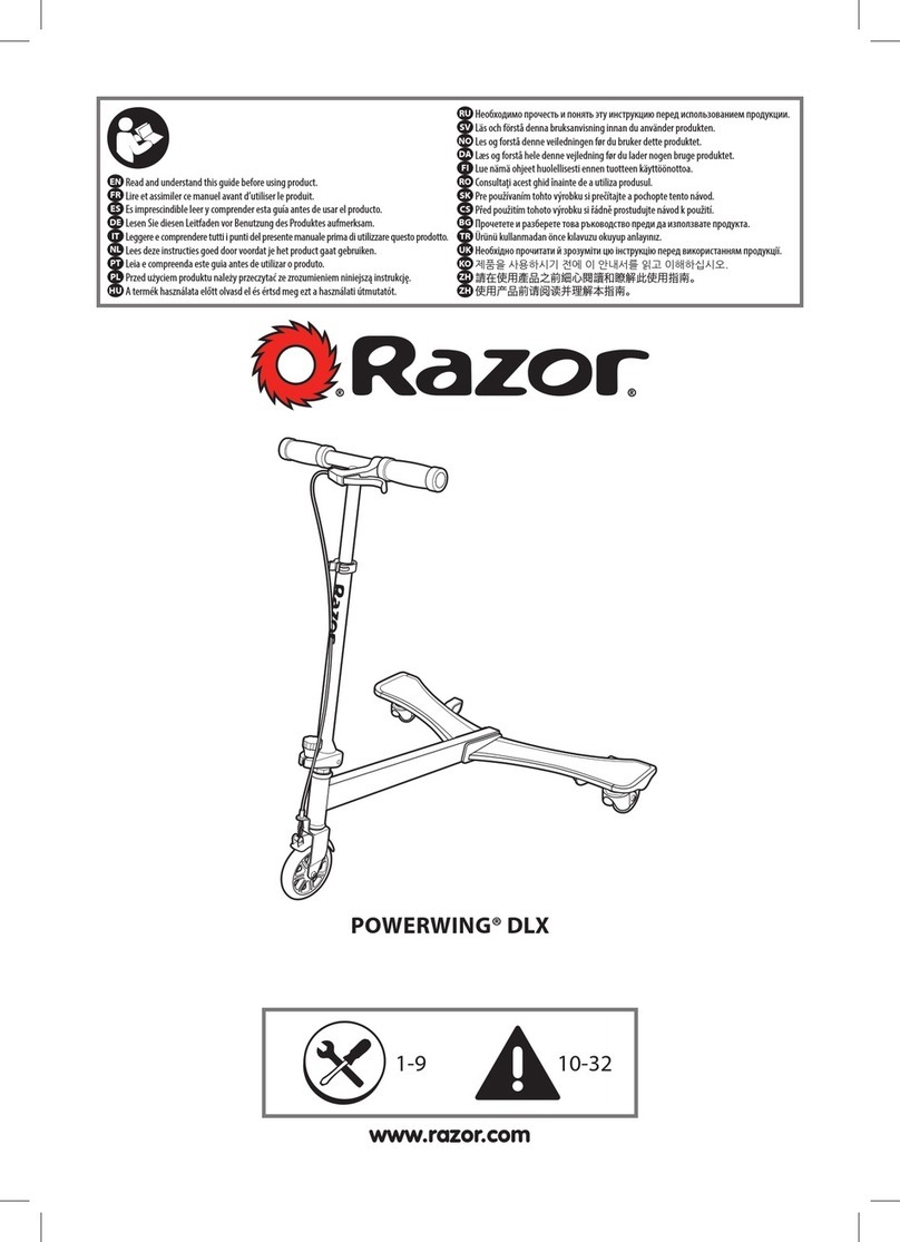 Razor PowerWing DLX User manual