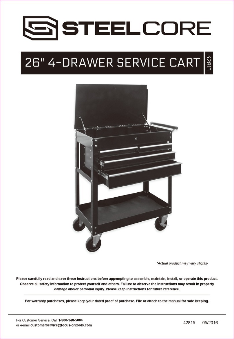 Steel Core 42815 manual