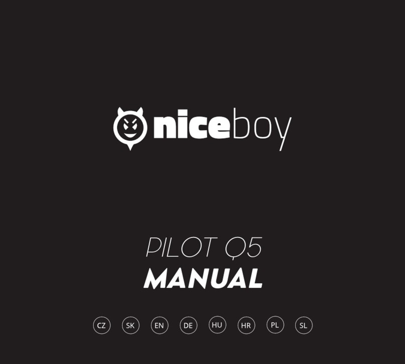 Niceboy PILOT Q5 User manual