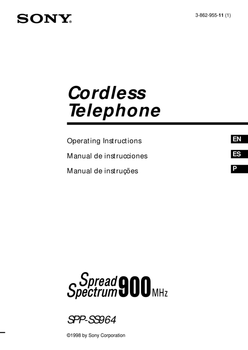 Sony SSP-SS964 User manual