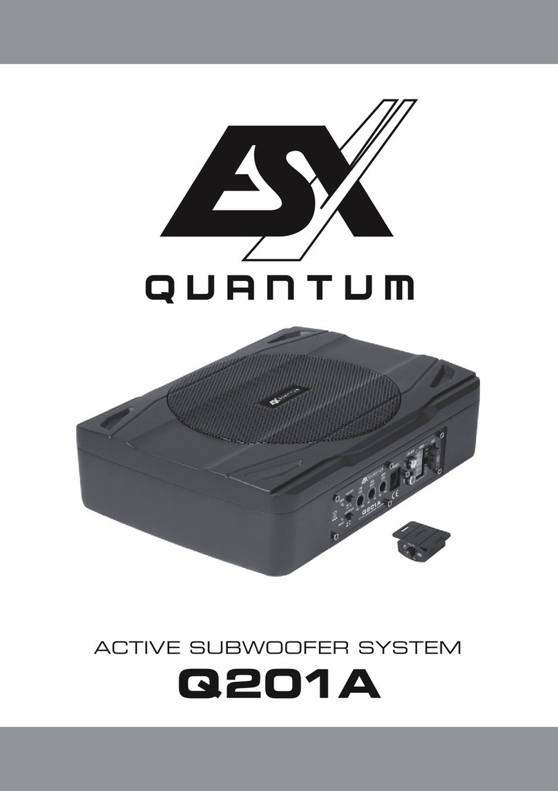 ESX QUANTUM Q201A User manual