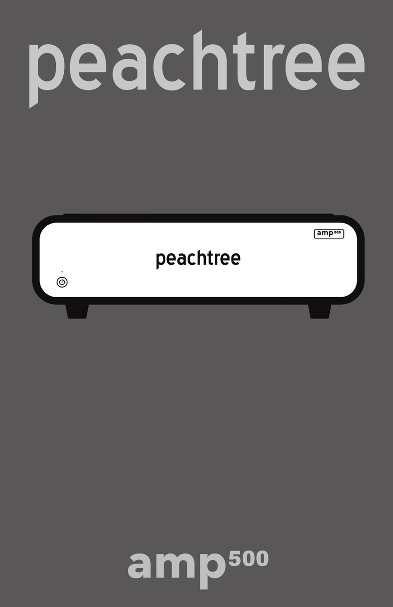 Peachtree amp500 manual