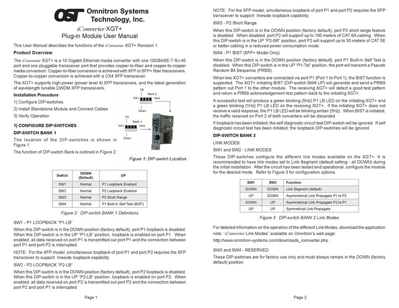 OST iConverter XGT+ user manual