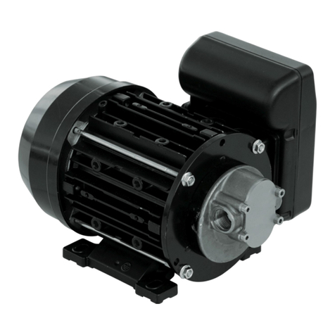 Piusi VISCOMAT 60/2 AC Quick start guide