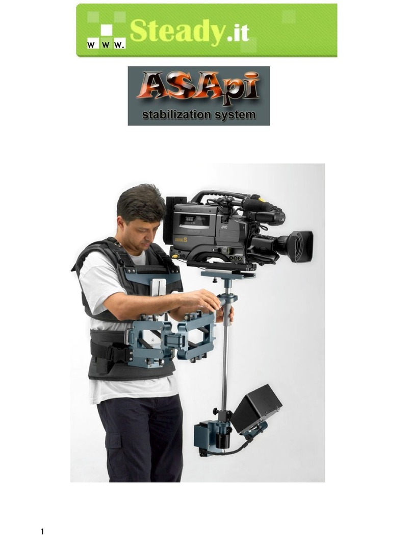 Steady.it ASApi manual