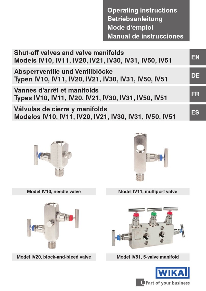 WIKA IV10 operating instructions