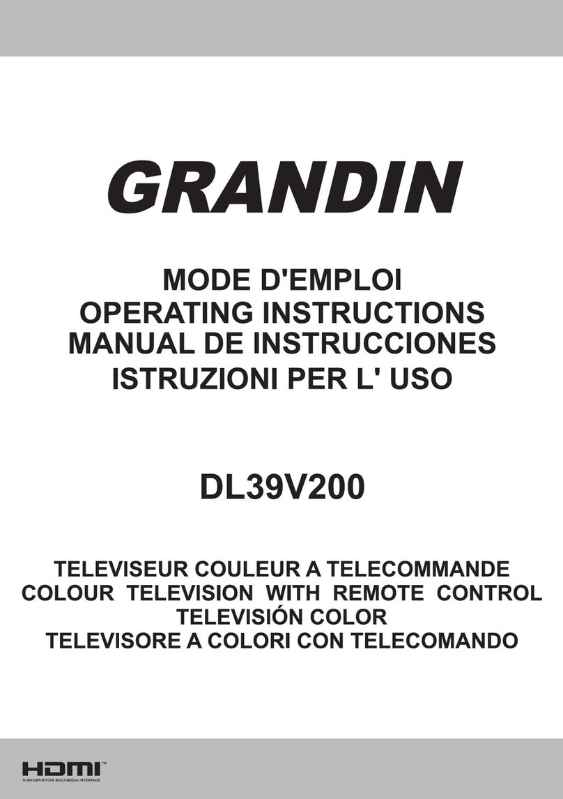 Grandin DL39V200 User manual