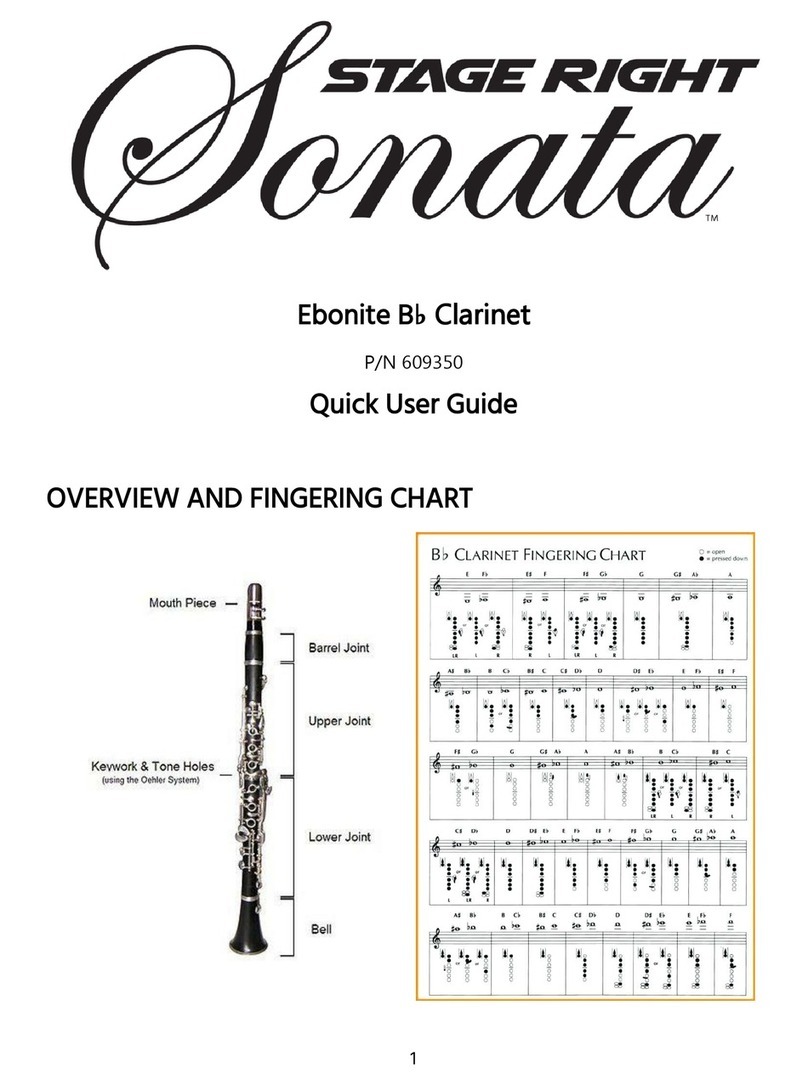 Stage Right Sonata 609350 Quick user guide