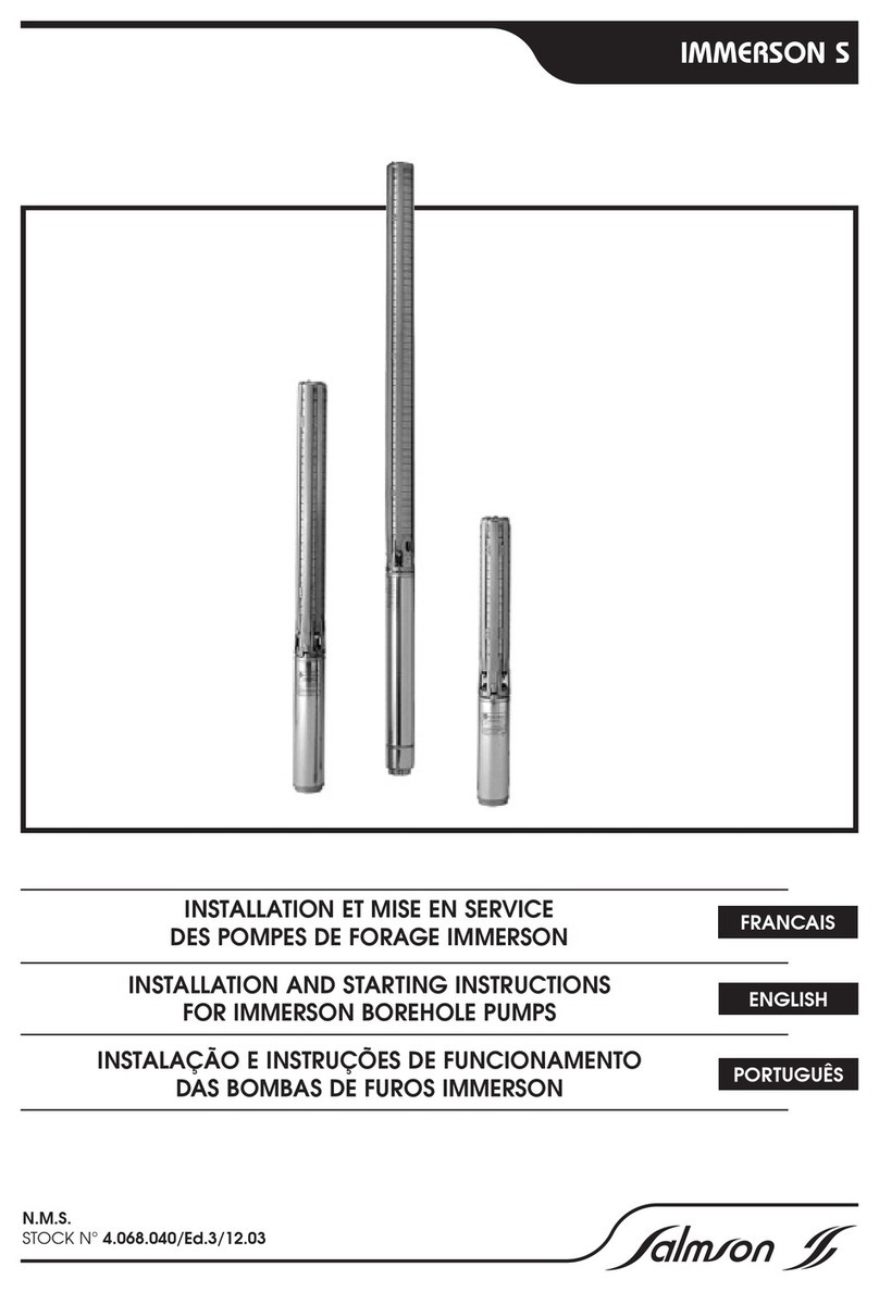 salmson IMMERSON S Installation and starting instructions salmson IMMERSON S Installation and starting instructions