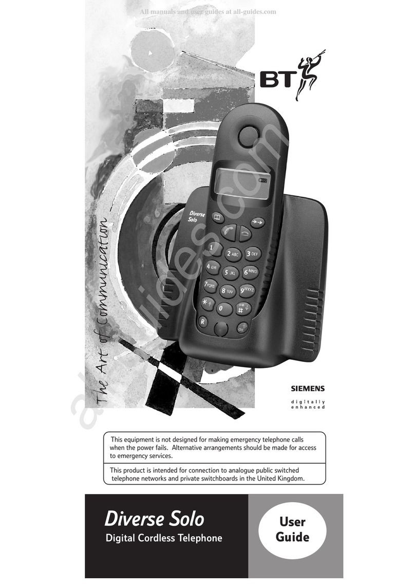 BT DIVERSE SOLO User manual