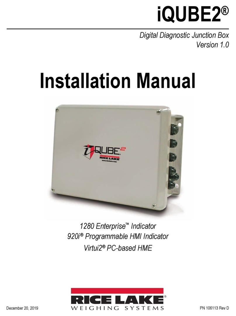 Rice Lake iQUBE2 Enterprise 1280 installation manual