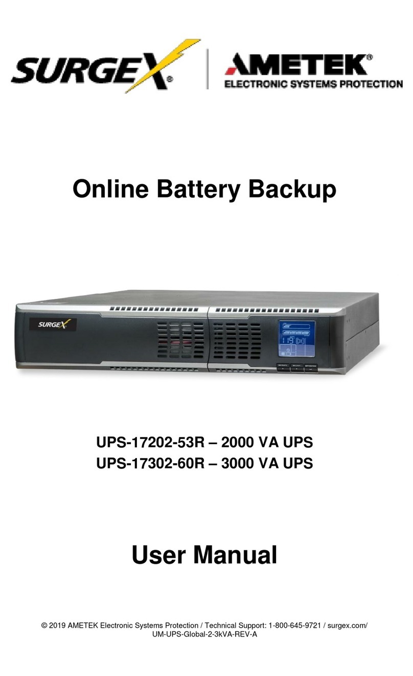 Ametek Surgex UPS-17202-53R user manual