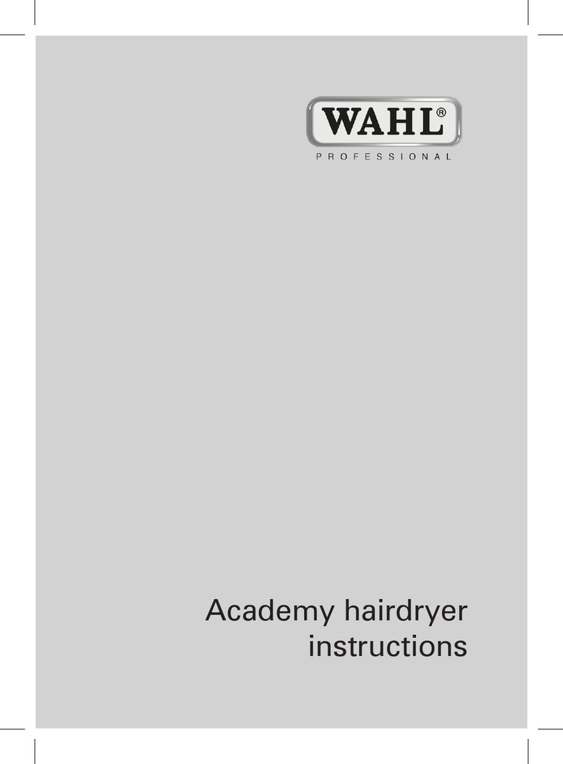Wahl Academy instructions