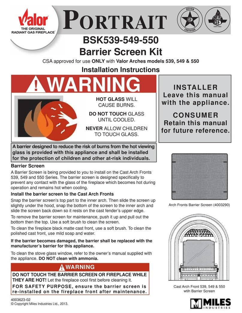 Valor PORTRAIT BSK539-549-550 User manual Valor PORTRAIT BSK539-549-550 User manual
