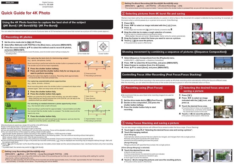 Panasonic Lumix DC-G95 User manual