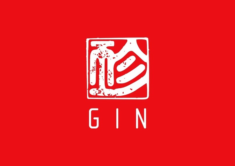 Gin Gliders Safari Pilot 2 user manual