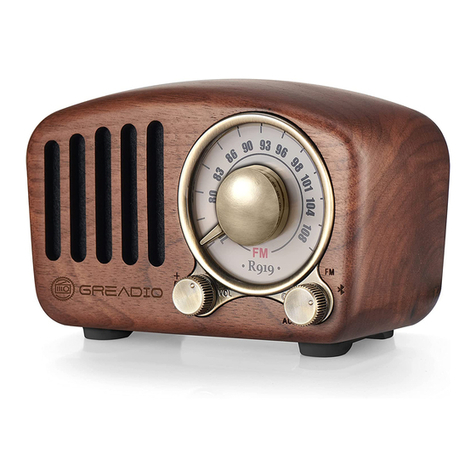 GREADIO R-919 user manual