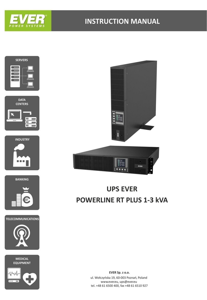 Ever Power Systems POWERLINE RT PLUS 1000 User manual