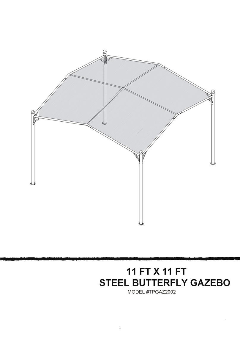 Taipeng TPGAZ2002 manual