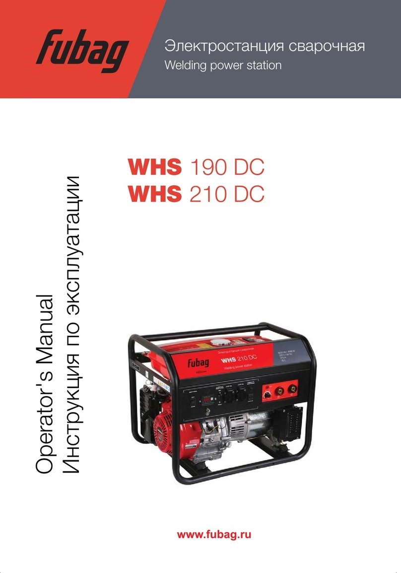 Fubag WHS 210 DC Operator's manual