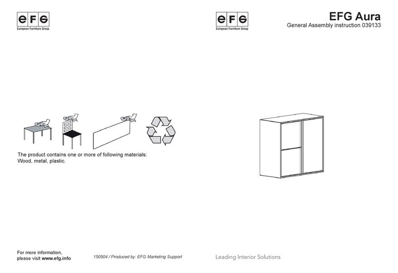 EFG Aura User manual