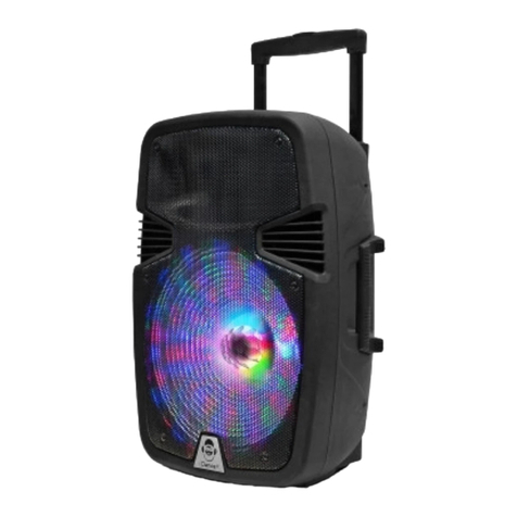iDance GROOVE 420 MK3 User manual
