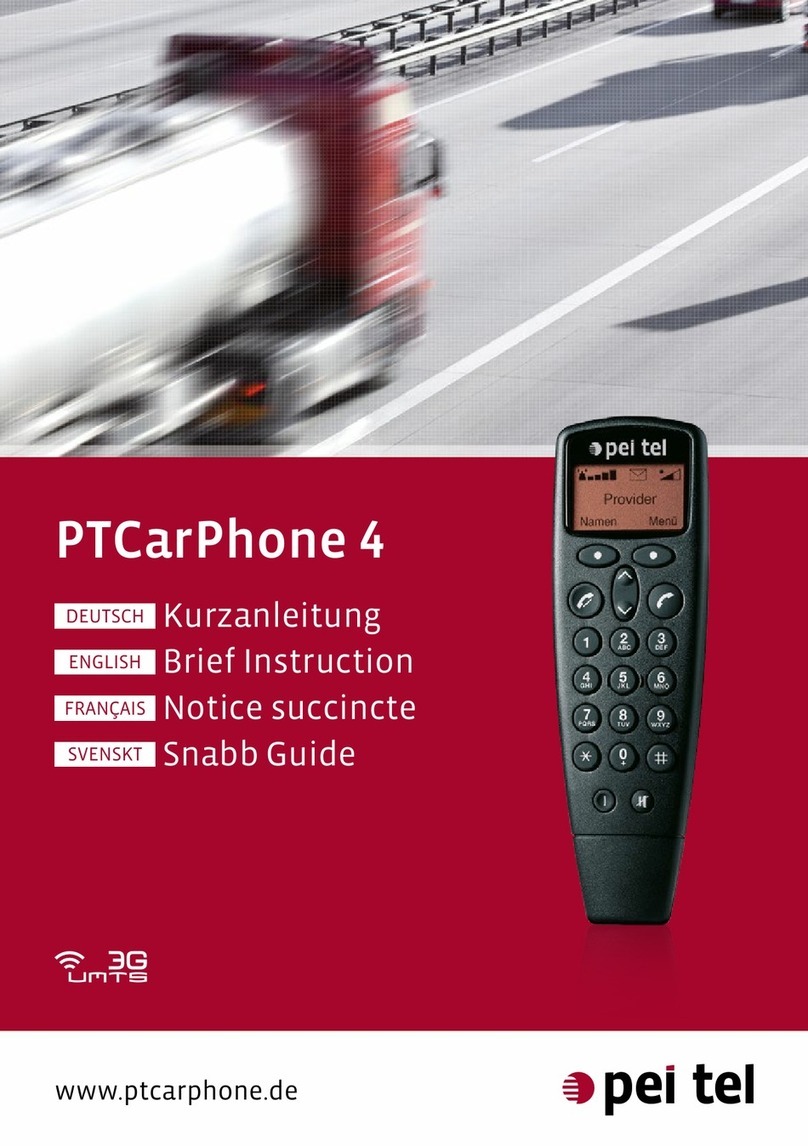 peitel PTCarPhone 4 Brief Instruction