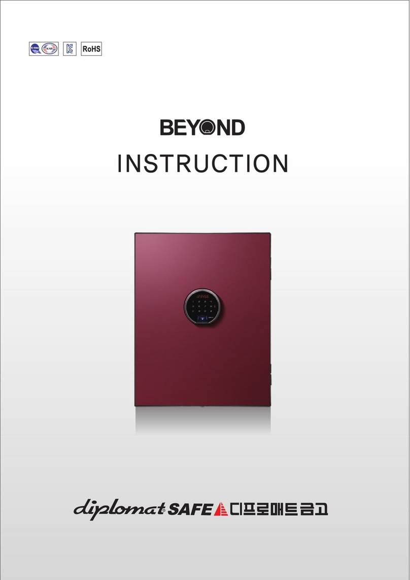Beyond diplomat Instruction
