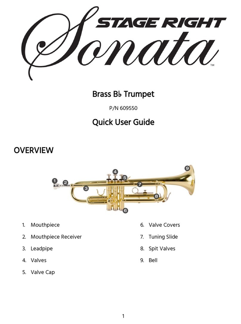 Stage right Sonata 609550 Instruction manual