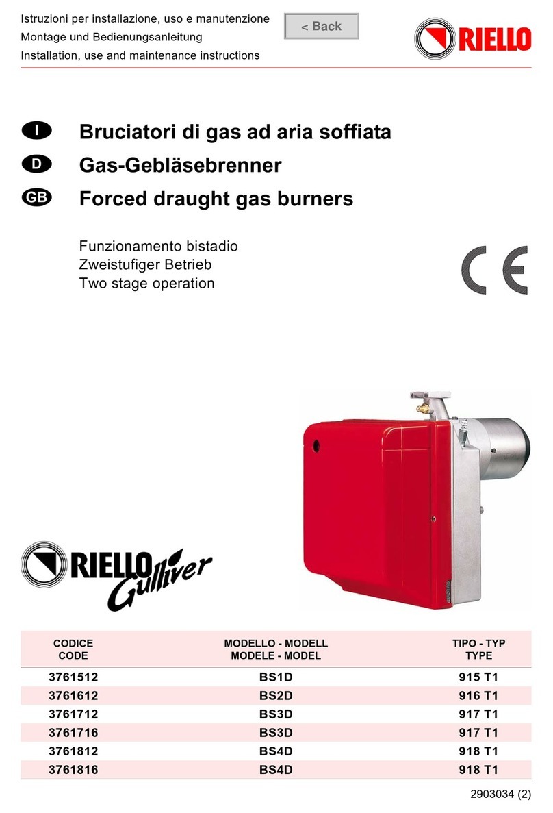 Riello BS1D Installation, use and maintenance instructions