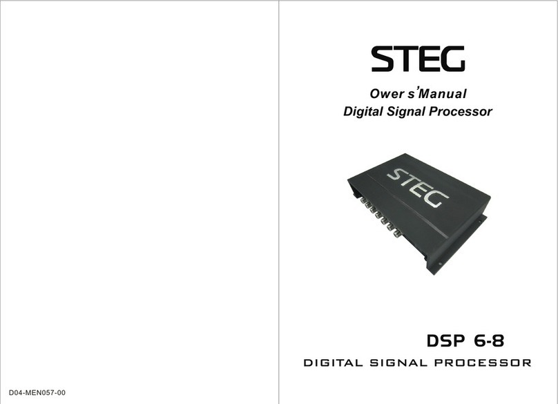 Steg DSP 6 User manual