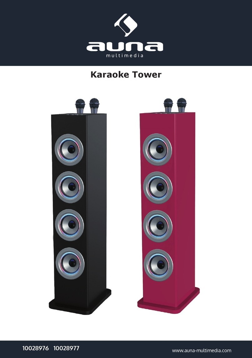 auna multimedia Karaoke Tower Series User manual auna multimedia Karaoke Tower Series User manual