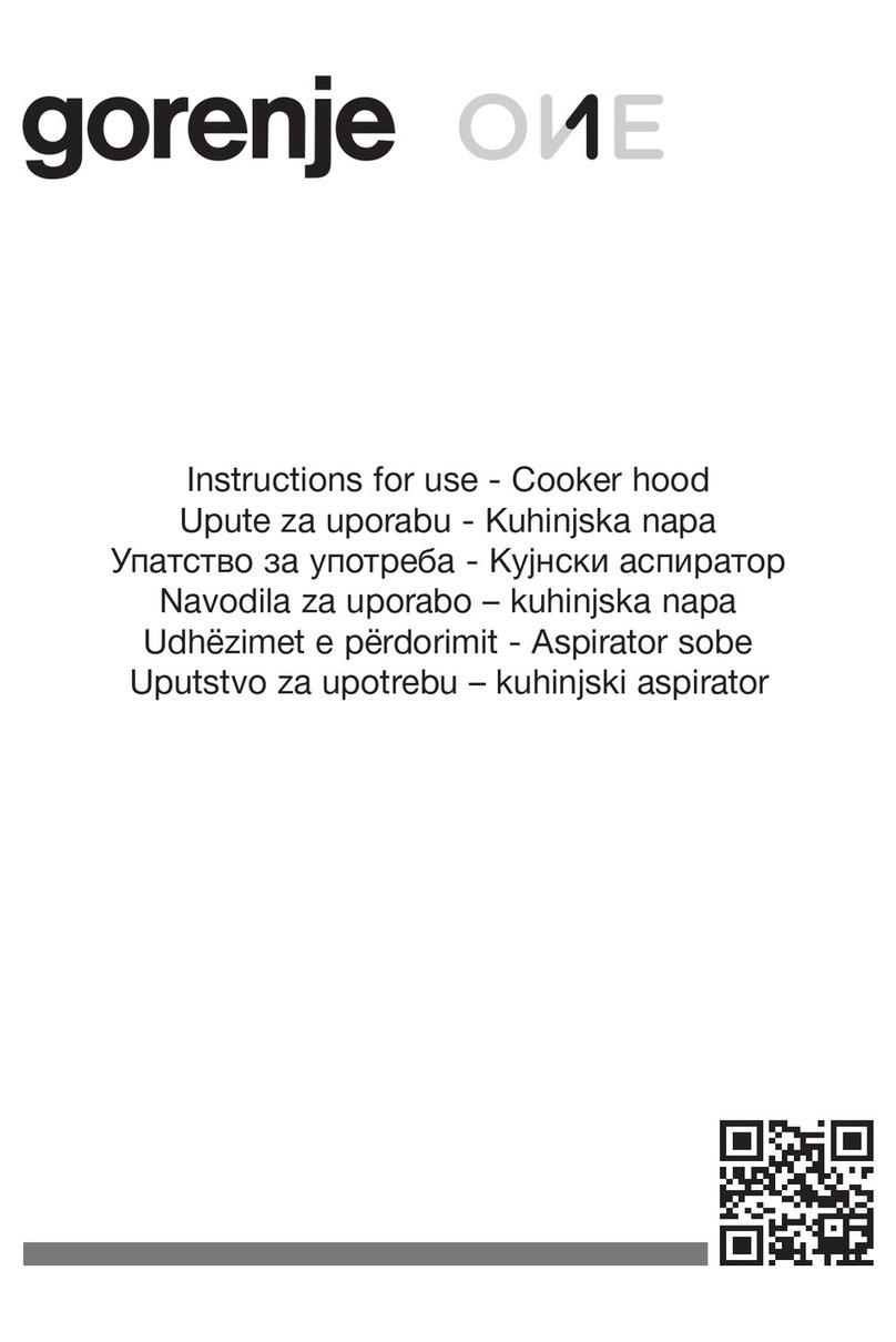 Gorenje ONE Instructions for use