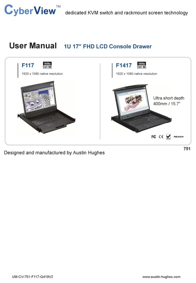 Austin Hughes CyberView F117 User manual