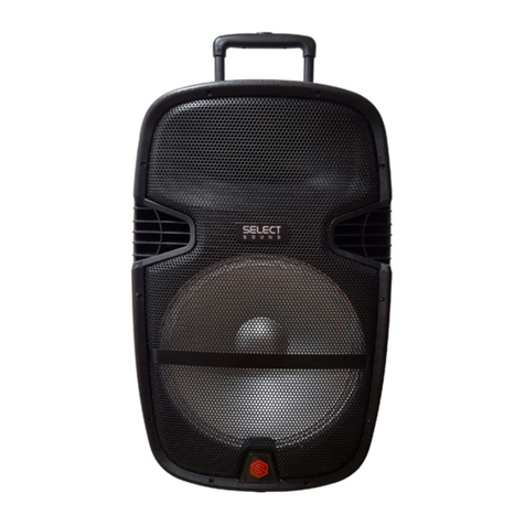 Select Sound BT1200 instruction manual