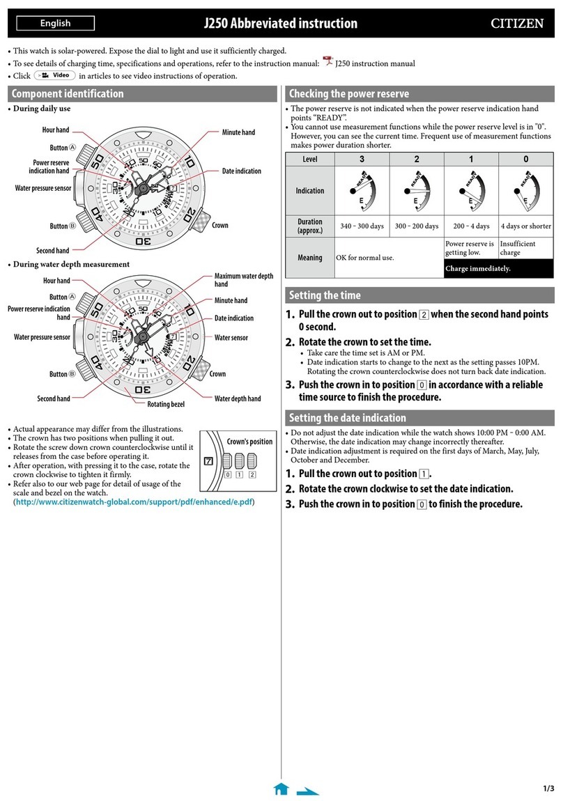 Citizen J250 Abbreviated Instruction