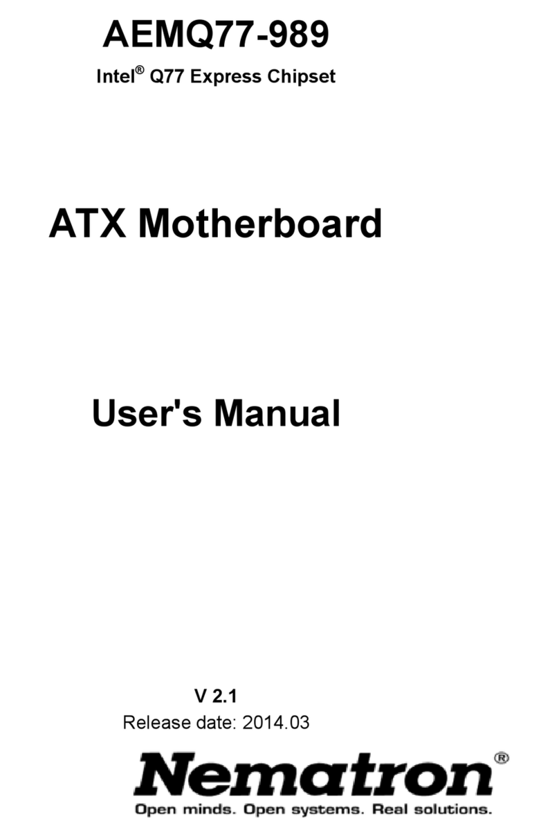 Nematron AEMQ77-989 user manual