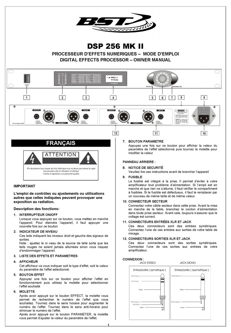 BST DSP 256 MK II owner's manual