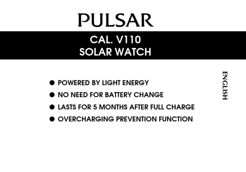 Pulsar V110 User manual