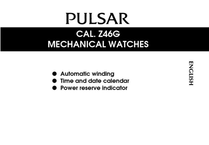 Pulsar Z46G User manual