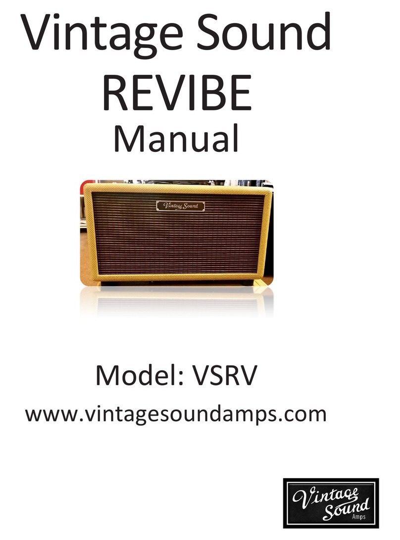 Vintage Sound REVIBE VSRV manual