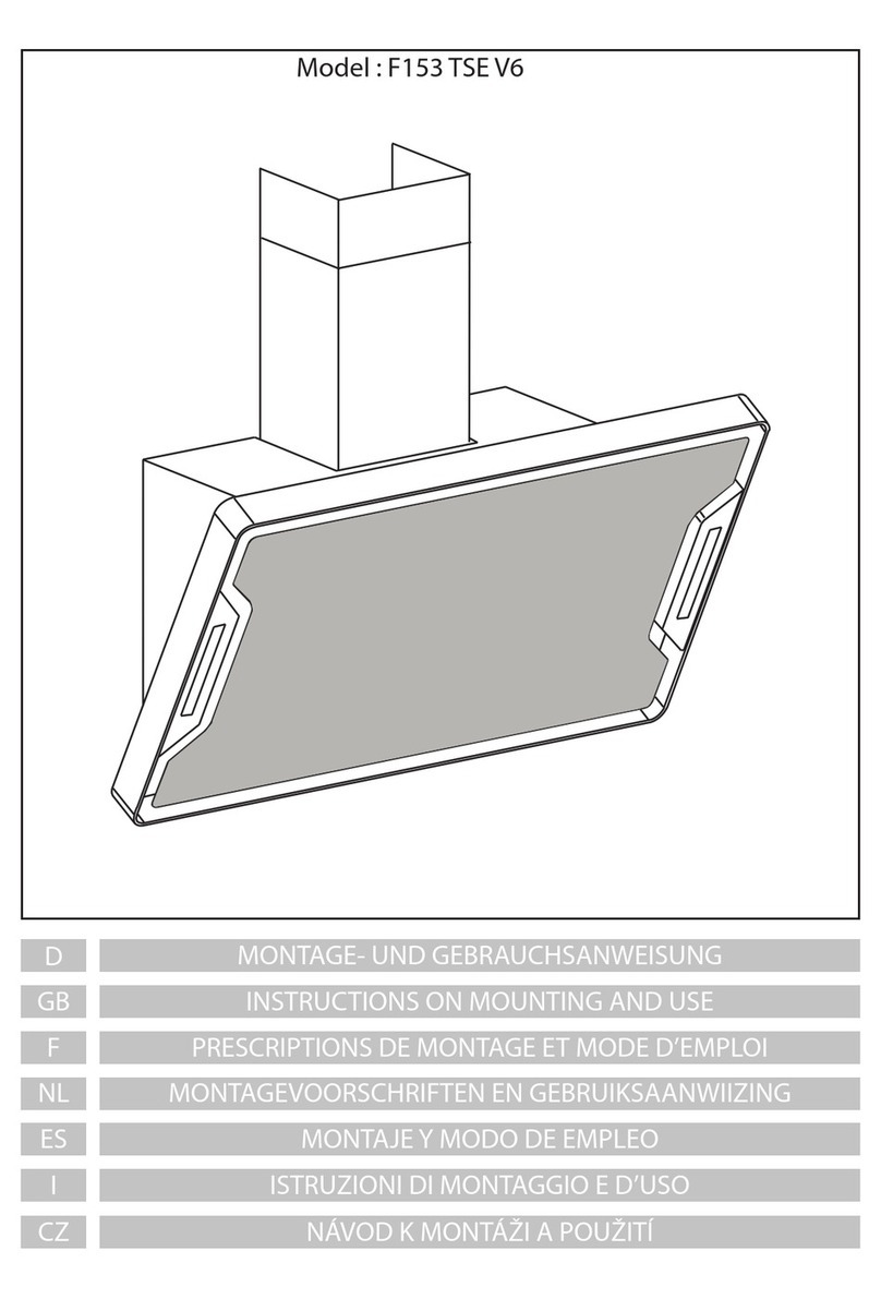 AIRFORCE F153 TSE V6 Instruction on mounting and use